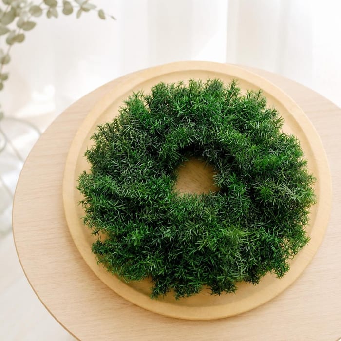 長く楽しむ 針葉樹のプリザーブドフラワーラウンドリース